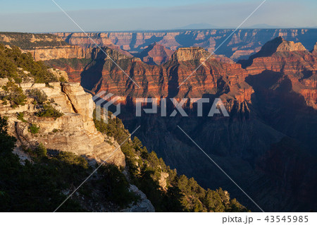Grand Canyon North Rim 43545985