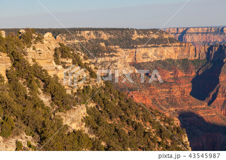 Grand Canyon North Rim Grand Canyon North Rim 43545987