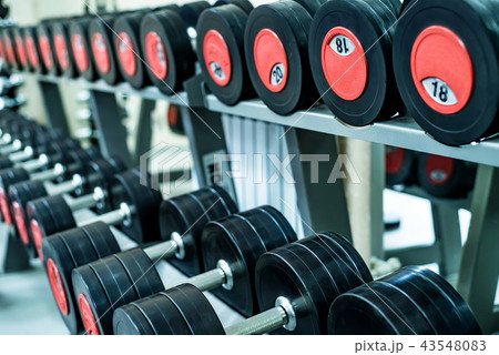 Close up image of chrome dumbbells in gym 43548083