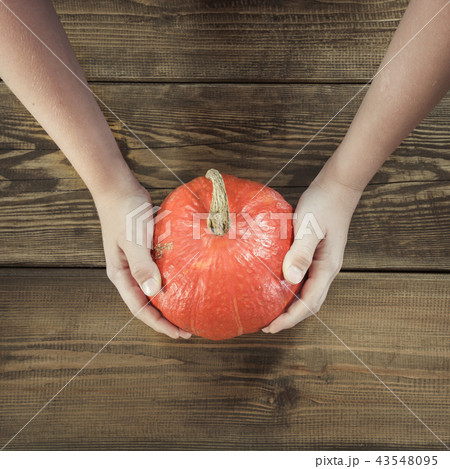 Pumpkin in child's hands on wooden board.Harvest. Pumpkin in child's hands on wooden board.Harvest. 43548095