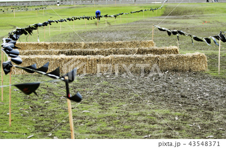 Cross country course with hay bales and markers Cross country course with hay bales and markers 43548371