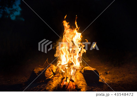 Bonfire near water in forest 43548472