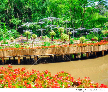 Beautiful natural garden Beautiful natural garden 43549300