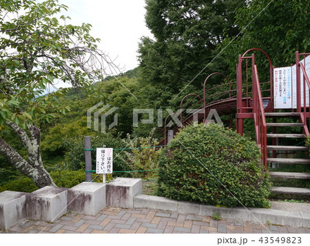 諏訪湖　立石公園の滑り台（夜景100選） 43549823