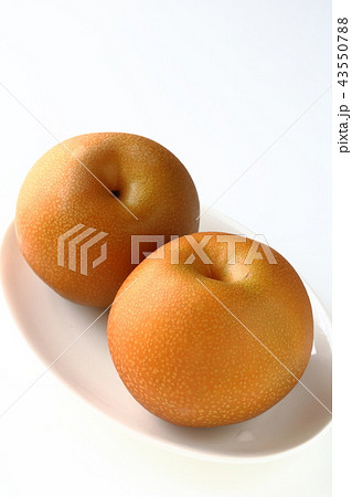 彩玉梨 彩玉梨 43550788