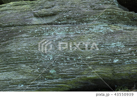 荒い岩肌 荒い岩肌 43550939