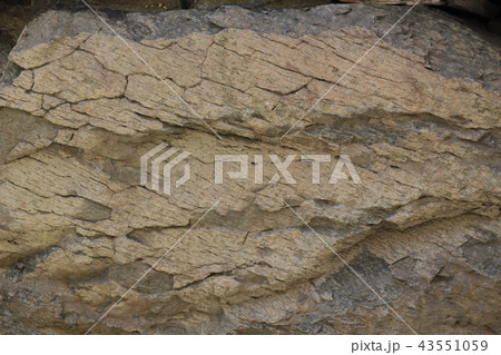 荒い岩肌 荒い岩肌 43551059