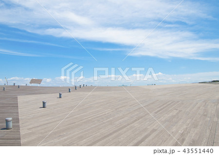 横浜　大さん橋　くじらのせなか 43551440