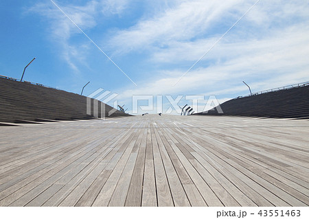 横浜　大さん橋　くじらのせなか 43551463