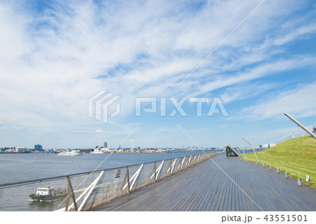 横浜　大さん橋　くじらのせなか 43551501