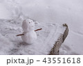 雪だるま 43551618