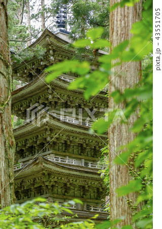 出羽三山 山形県 羽黒山五重塔 出羽三山 山形県 羽黒山五重塔 43551705