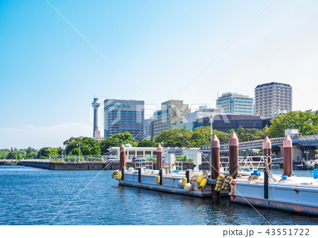 横浜ベイエリア 横浜ベイエリア 43551722