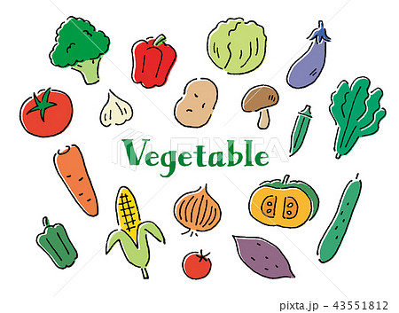 野菜ペン画手描きのイラスト素材 43551812 Pixta