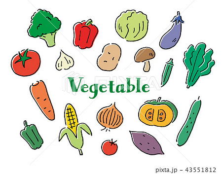 Vegetable Pen Drawing Hand Drawn Stock Illustration