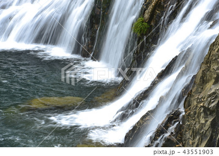 【愛知県　東栄町】蔦の淵 43551903