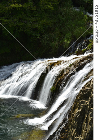 【愛知県 東栄町】蔦の淵 【愛知県 東栄町】蔦の淵 43551915