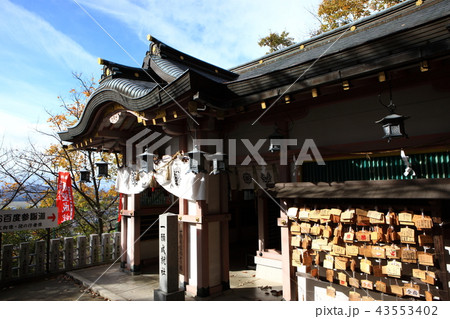 八幡山城より 八幡山城より 43553402