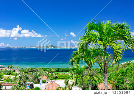 沖縄の海洋博公園付近の海 43553694