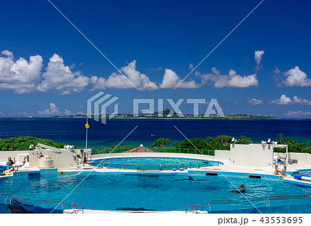 沖縄の海洋博公園付近の海 43553695