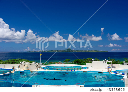 沖縄の海洋博公園付近の海 43553696