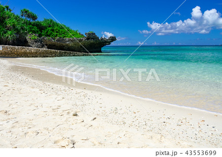 沖縄の海洋博公園付近の海 43553699