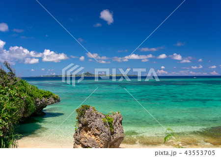 沖縄の海洋博公園付近の海 43553705