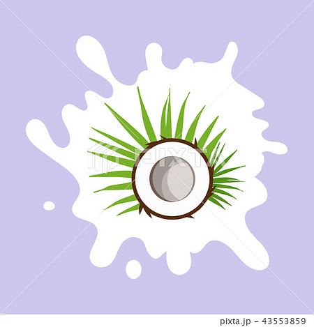 Coconut milk. Coconut on a milk splash. Flat design style. Vector illustration. 43553859