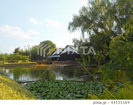 難波田城公園 43555164