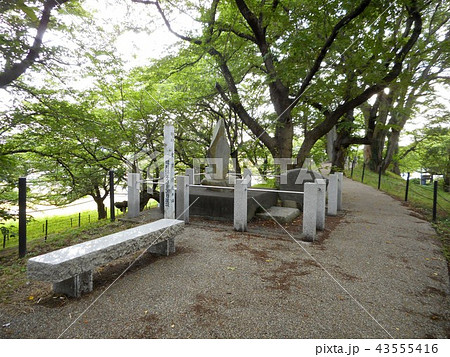 権現堂堤　順礼の碑 43555416