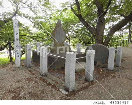 権現堂堤 順礼の碑 権現堂堤 順礼の碑 43555417