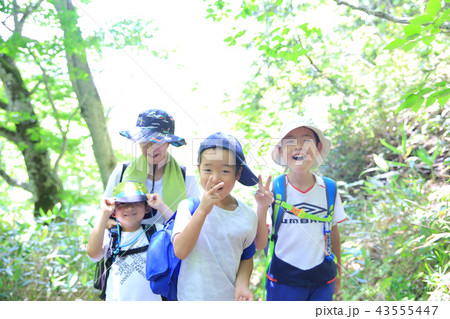 ハイキングする親子 43555447