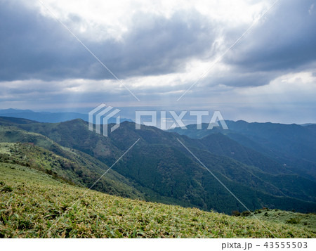 【伊豆半島】秋の高原風景【伊豆山稜線歩道・だるま山周辺】 43555503