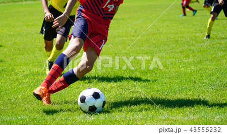 サッカー　フットボール 43556232