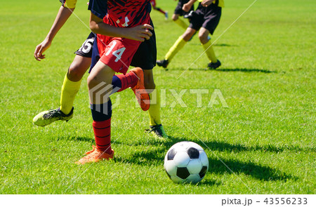 サッカー　フットボール 43556233