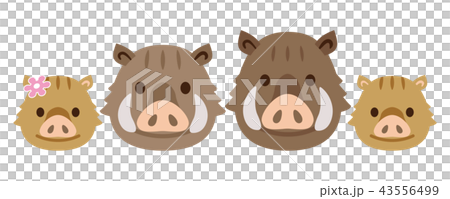 野豬家族 野豬家族 43556499