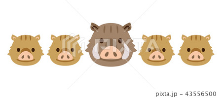 イノシシ　亥　2019 43556500