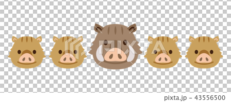 イノシシ　亥　2019 43556500