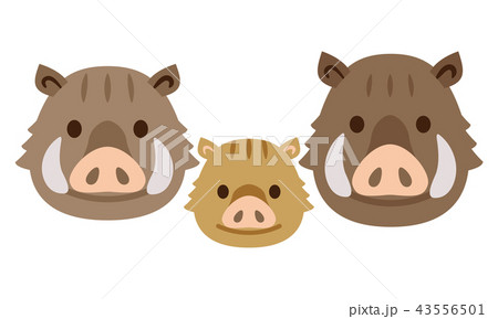 イノシシ　亥　親子 43556501
