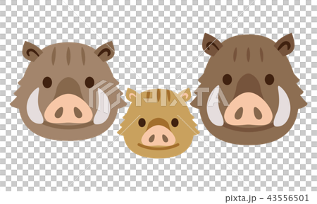 イノシシ　亥　親子 43556501