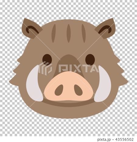 Boar of wild boar 43556502