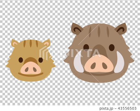 野豬野豬 43556503