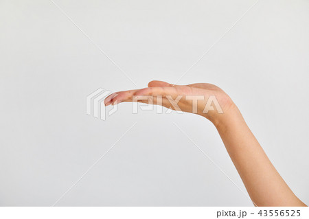指 手 最高 43556525