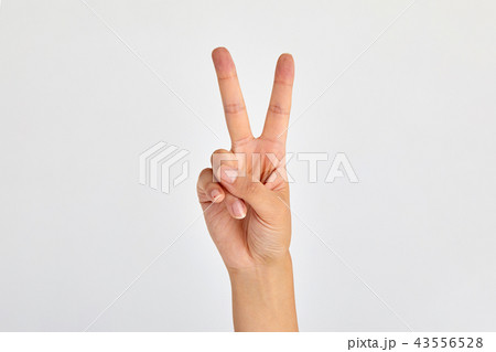 指 手 2 43556528