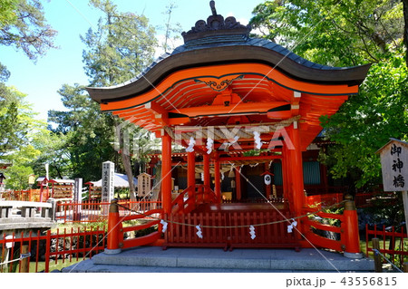 生島足島神社 御神橋 43556815