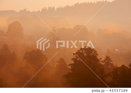 Autumn foggy sunrise landscape Autumn foggy sunrise landscape 43557194
