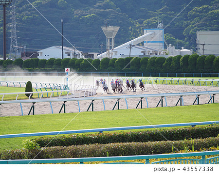 競馬 競馬 43557338