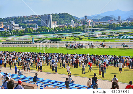 小倉競馬場 43557345