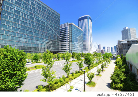 大通りのあるオフィス街の風景 大通りのあるオフィス街の風景 43557451