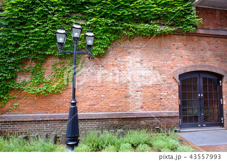 サッポロファクトリーレンガ館（壁） 43557993